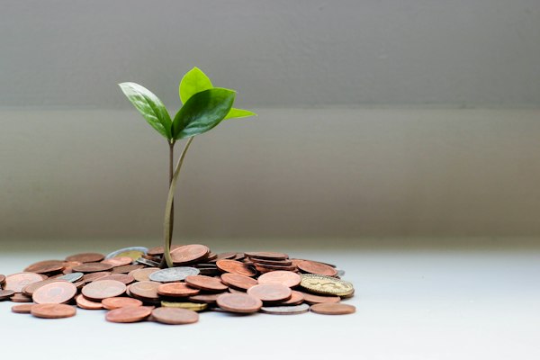 Family financial planning